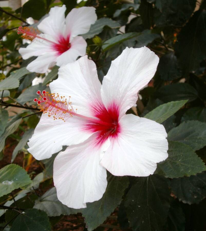 photographer Dave Wells uncategorized  photo