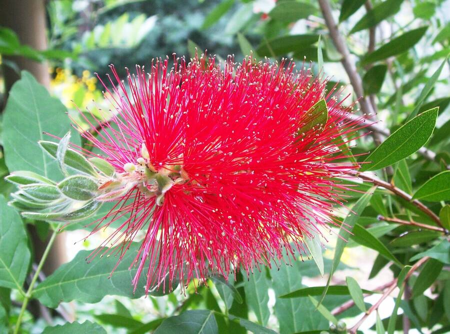 photographer Dave Wells uncategorized  photo