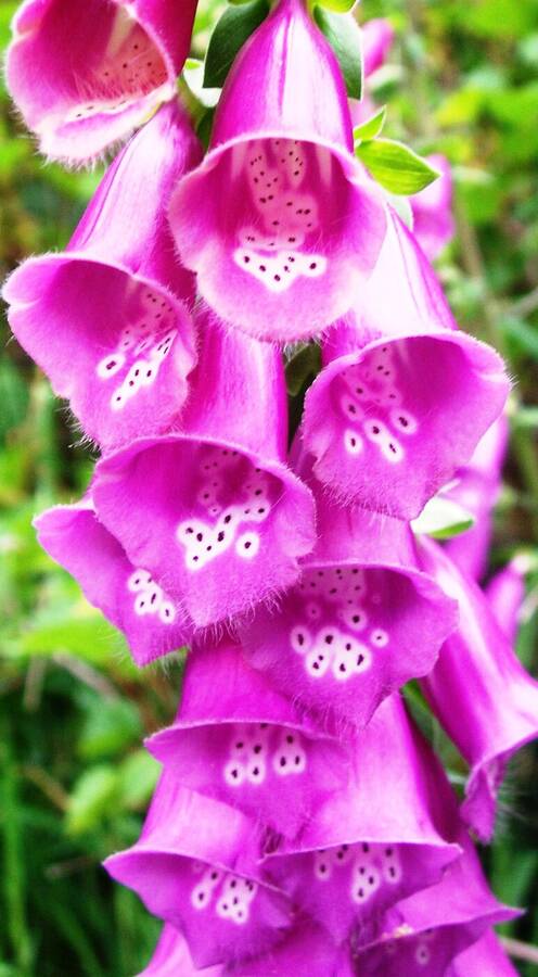 photographer Dave Wells uncategorized  photo