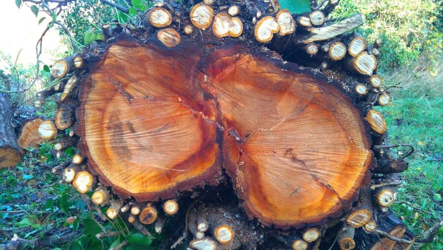 photographer Dave Wells uncategorized  photo