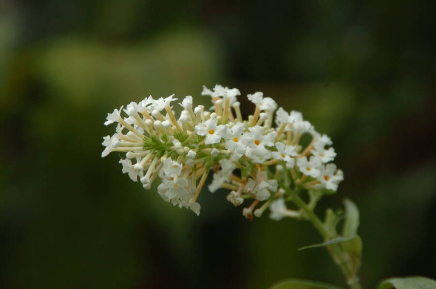 photographer Dave Wells uncategorized  photo