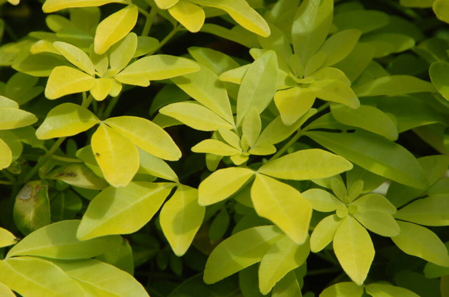 photographer Dave Wells uncategorized  photo