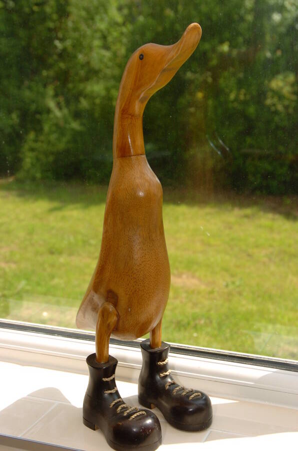 photographer Dave Wells uncategorized  photo