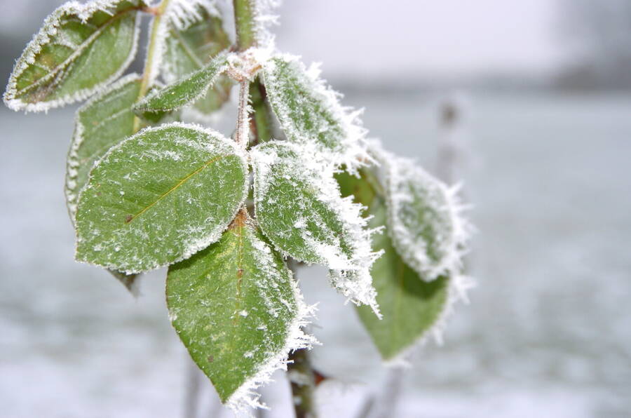 photographer Dave Wells uncategorized  photo