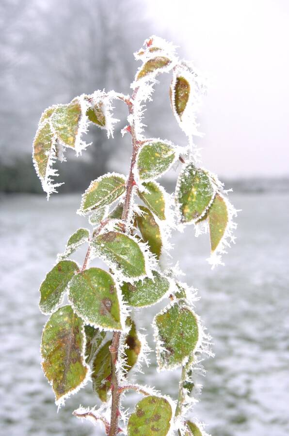 photographer Dave Wells uncategorized  photo