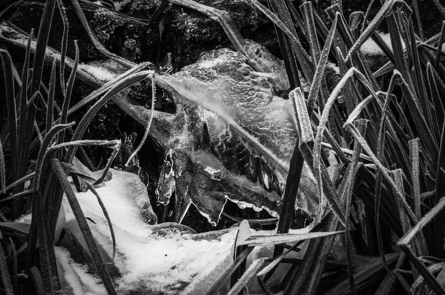 photographer Dave Wells uncategorized  photo