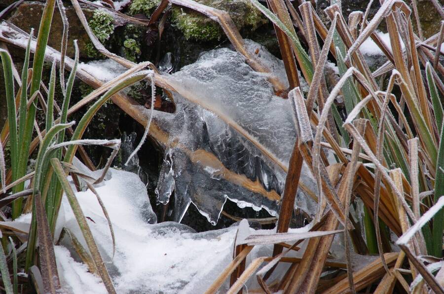 photographer Dave Wells uncategorized  photo