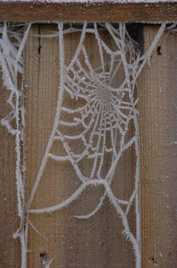 photographer Dave Wells uncategorized  photo