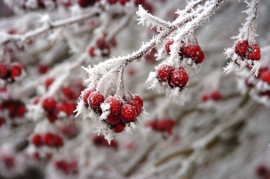 photographer Dave Wells uncategorized  photo