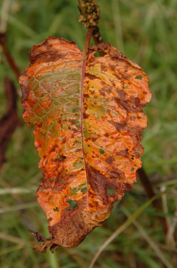 photographer Dave Wells uncategorized  photo