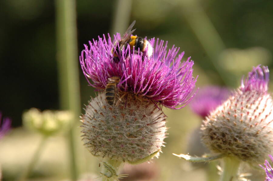 photographer Dave Wells uncategorized  photo