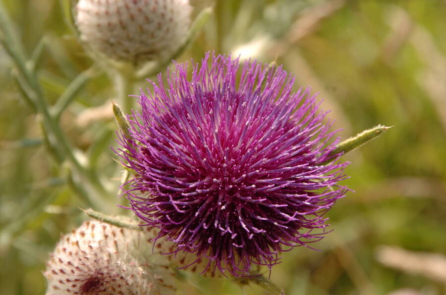 photographer Dave Wells uncategorized  photo