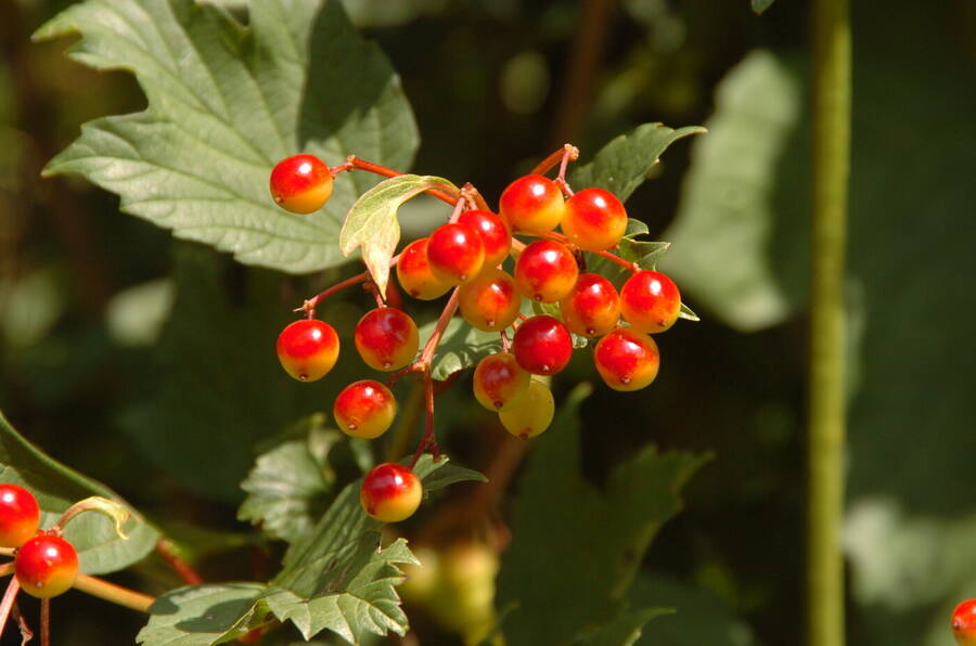 photographer Dave Wells uncategorized  photo