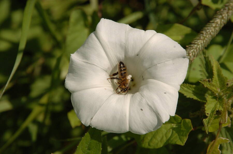 photographer Dave Wells uncategorized  photo