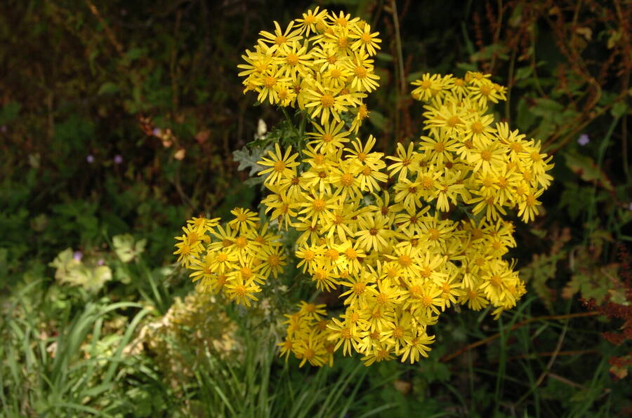 photographer Dave Wells uncategorized  photo