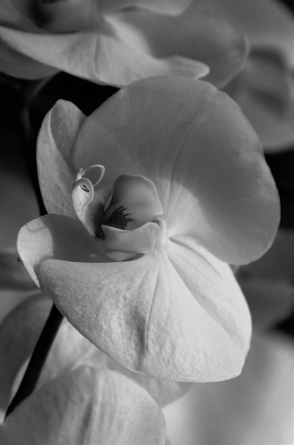 photographer Dave Wells uncategorized  photo