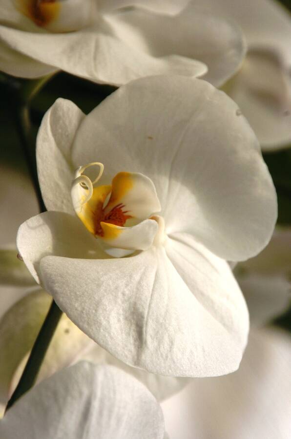 photographer Dave Wells uncategorized  photo