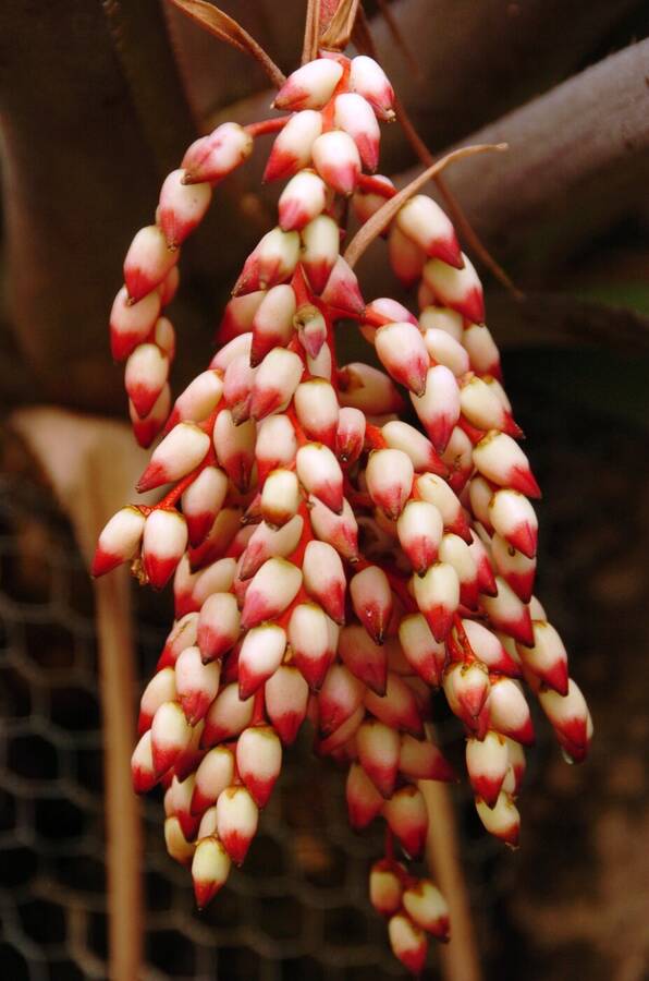 photographer Dave Wells uncategorized  photo