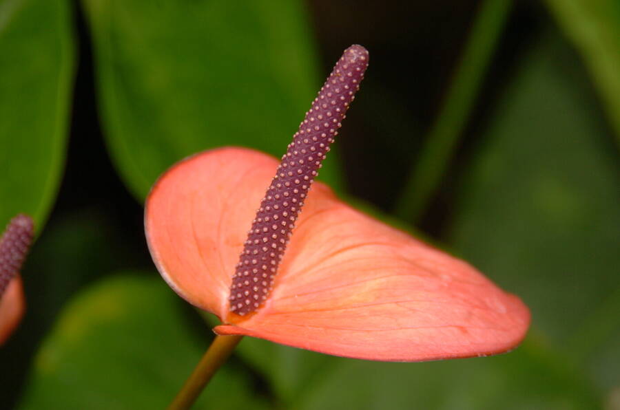 photographer Dave Wells uncategorized  photo