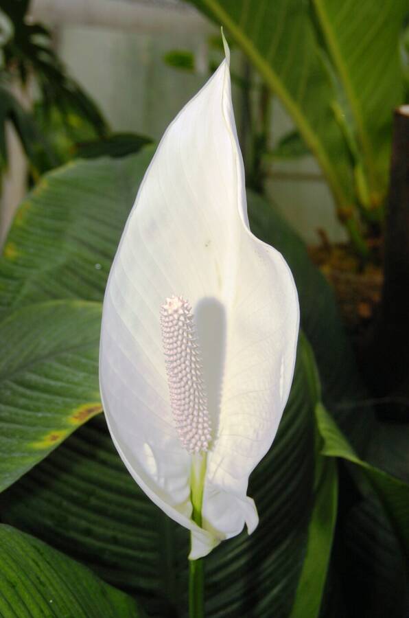 photographer Dave Wells uncategorized  photo