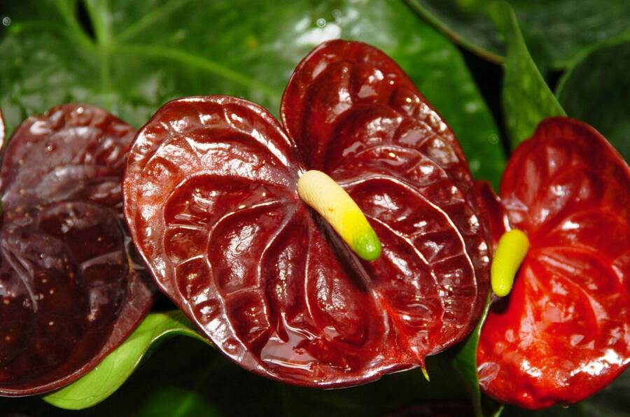 photographer Dave Wells uncategorized  photo