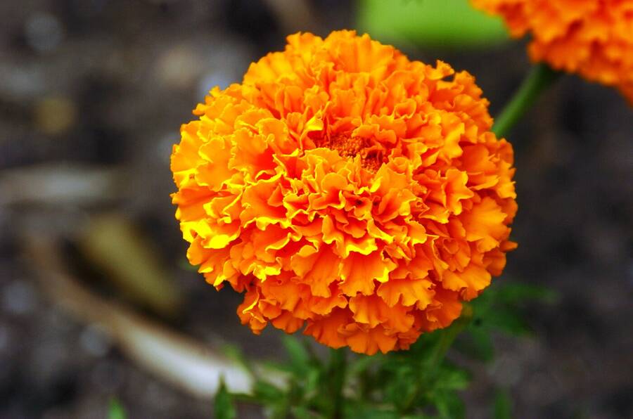 photographer Dave Wells uncategorized  photo