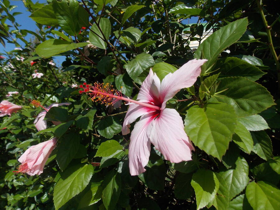 photographer Dave Wells uncategorized  photo