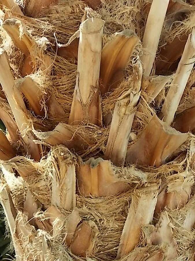 photographer Dave Wells uncategorized  photo