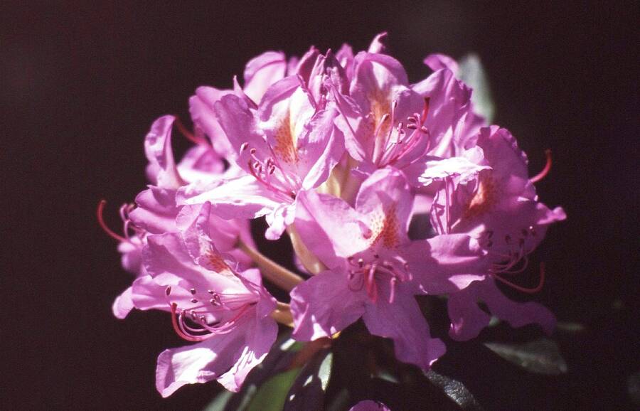 photographer Dave Wells uncategorized  photo