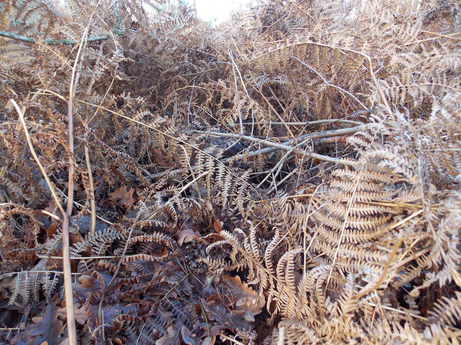 photographer Dave Wells uncategorized  photo