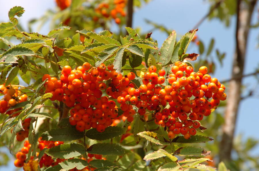 photographer Dave Wells uncategorized  photo