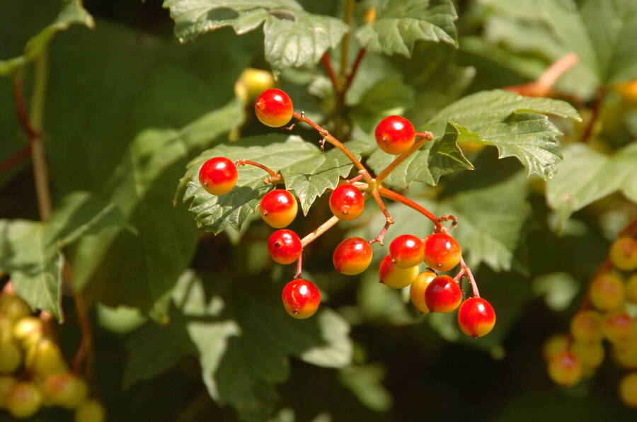 photographer Dave Wells uncategorized  photo