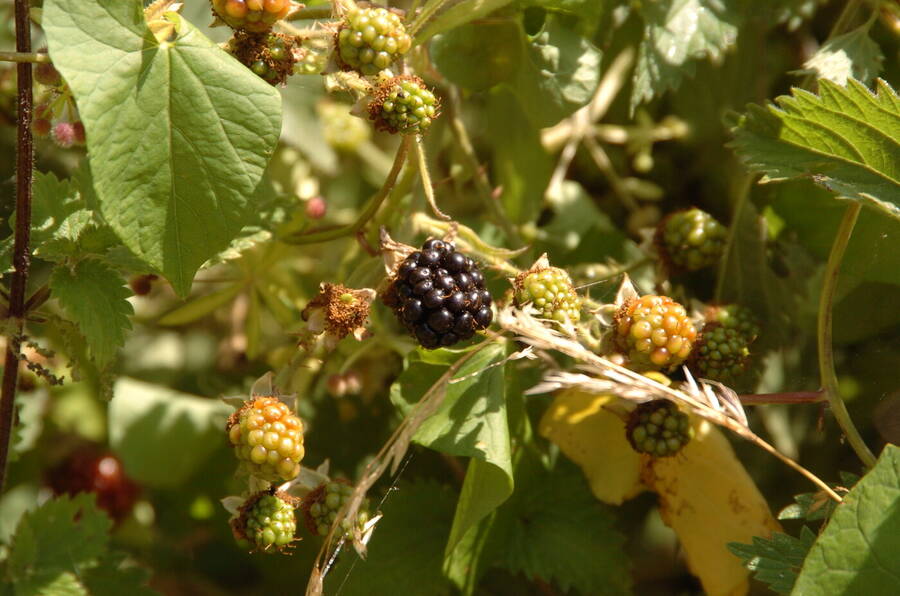 photographer Dave Wells uncategorized  photo