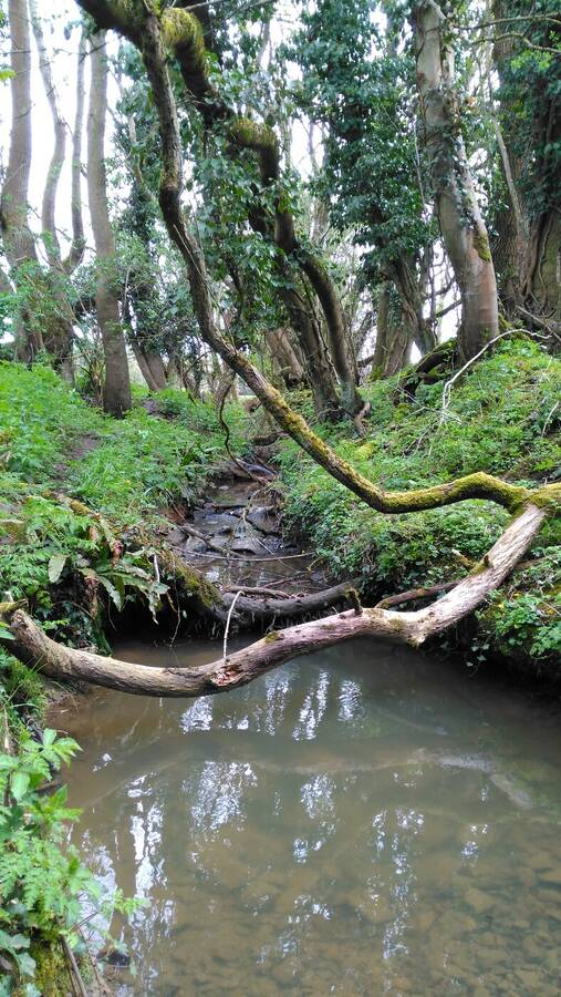 photographer Dave Wells uncategorized  photo