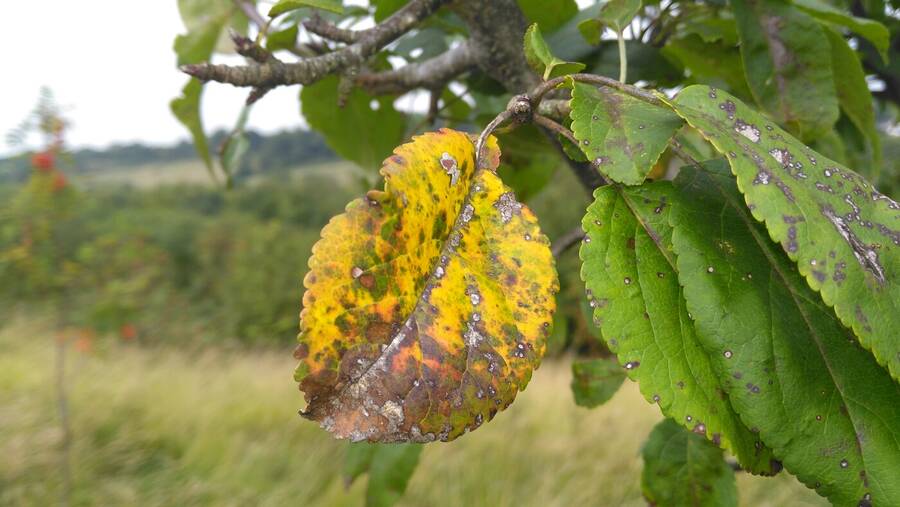 photographer Dave Wells uncategorized  photo