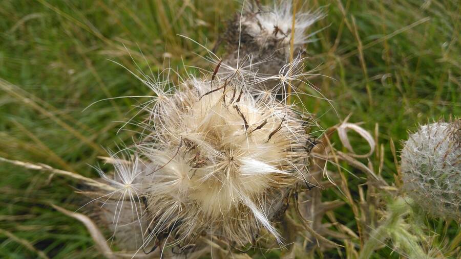 photographer Dave Wells uncategorized  photo