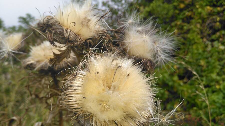 photographer Dave Wells uncategorized  photo