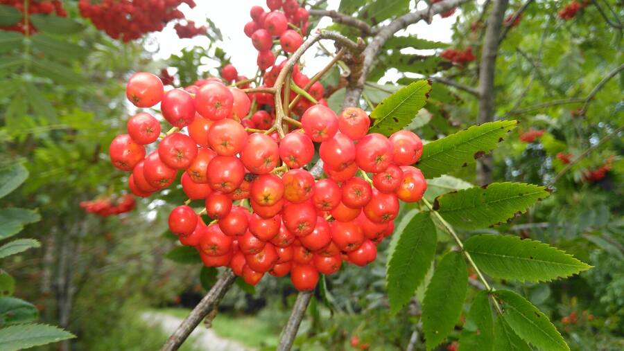 photographer Dave Wells uncategorized  photo