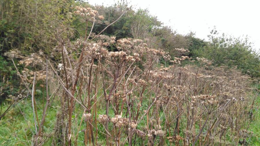 photographer Dave Wells uncategorized  photo