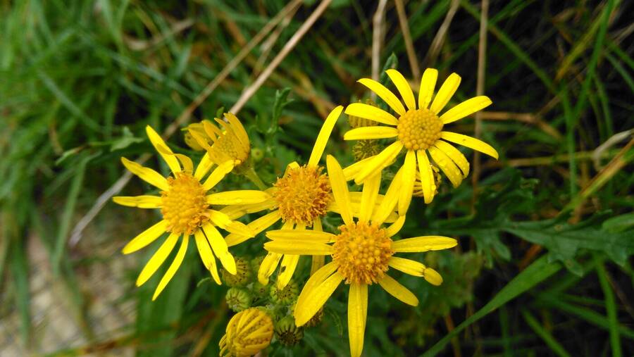 photographer Dave Wells uncategorized  photo