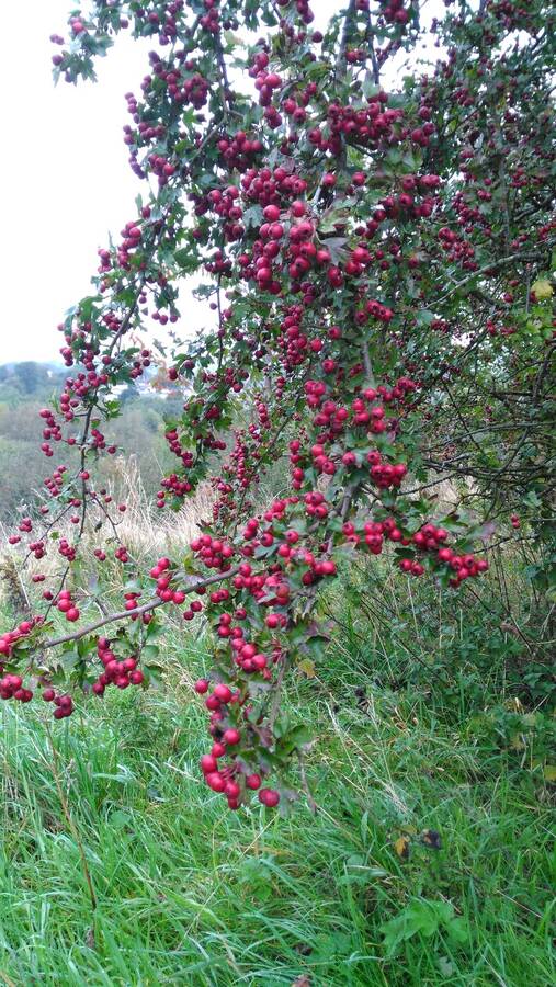 photographer Dave Wells uncategorized  photo