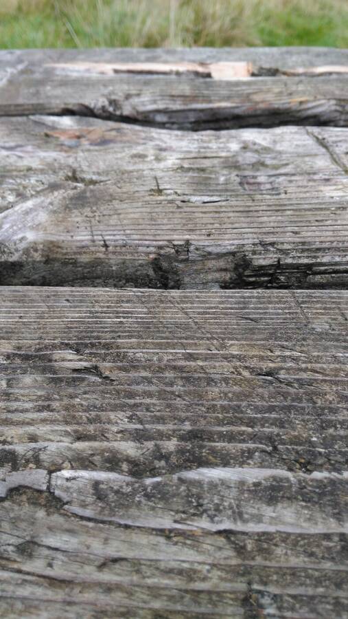 photographer Dave Wells uncategorized  photo