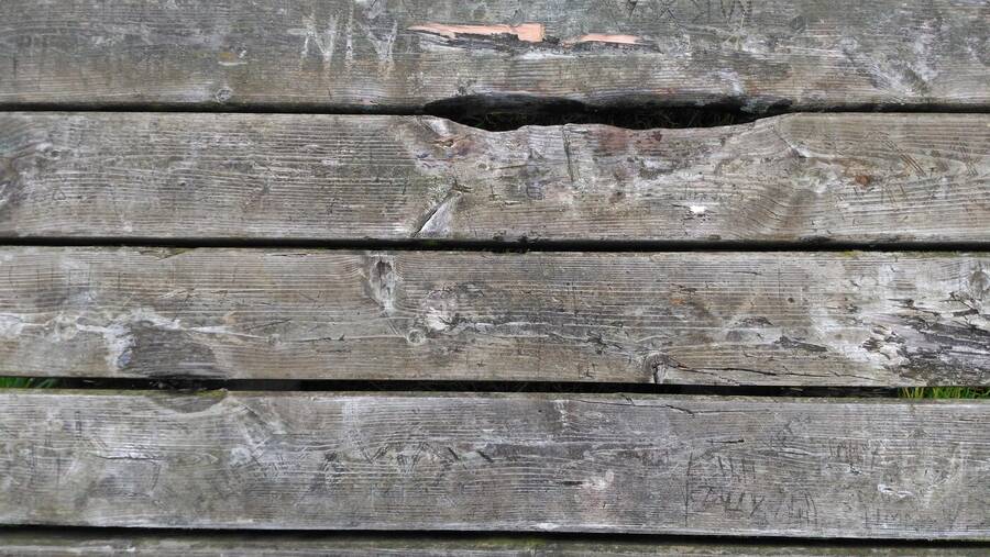 photographer Dave Wells uncategorized  photo