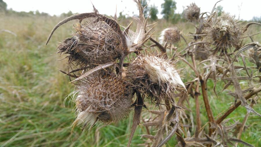 photographer Dave Wells uncategorized  photo