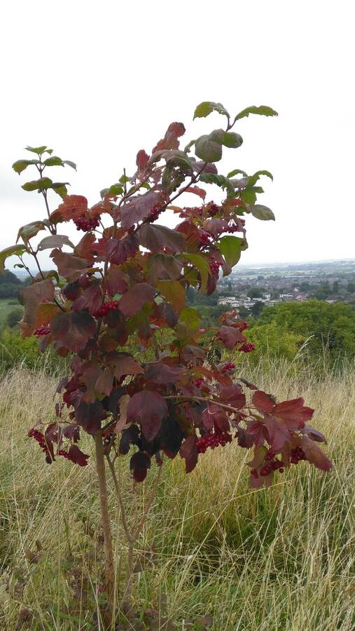 photographer Dave Wells uncategorized  photo