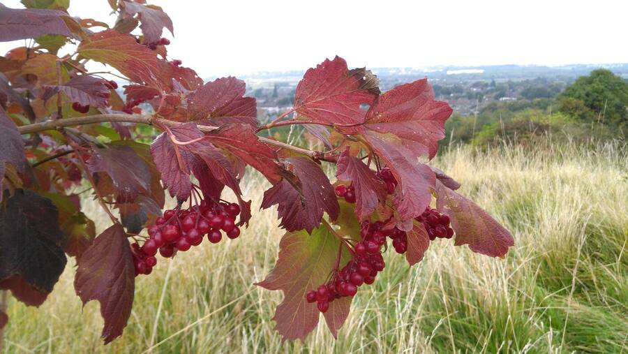 photographer Dave Wells uncategorized  photo