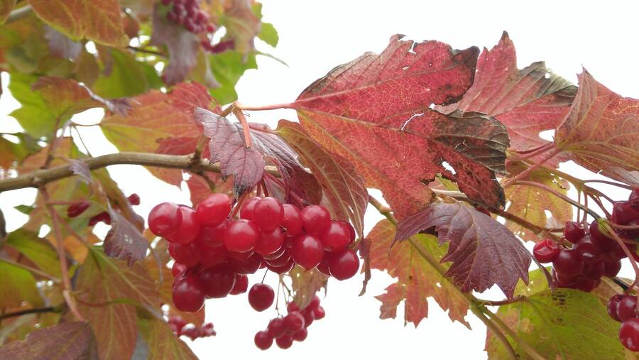 photographer Dave Wells uncategorized  photo