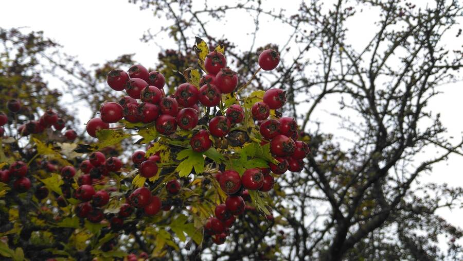 photographer Dave Wells uncategorized  photo