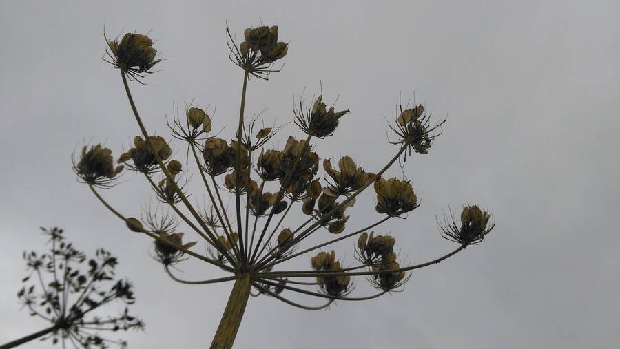 photographer Dave Wells uncategorized  photo