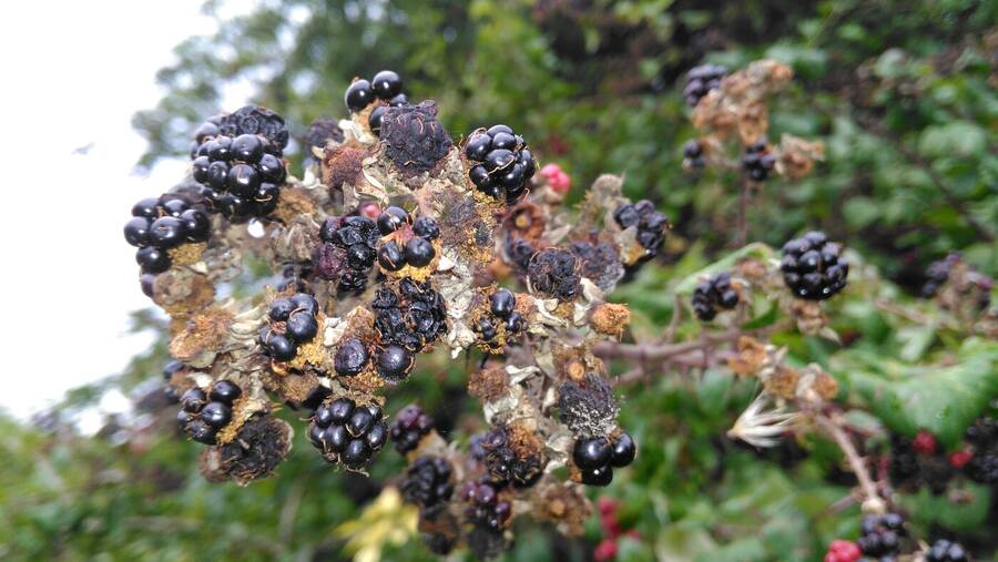 photographer Dave Wells uncategorized  photo